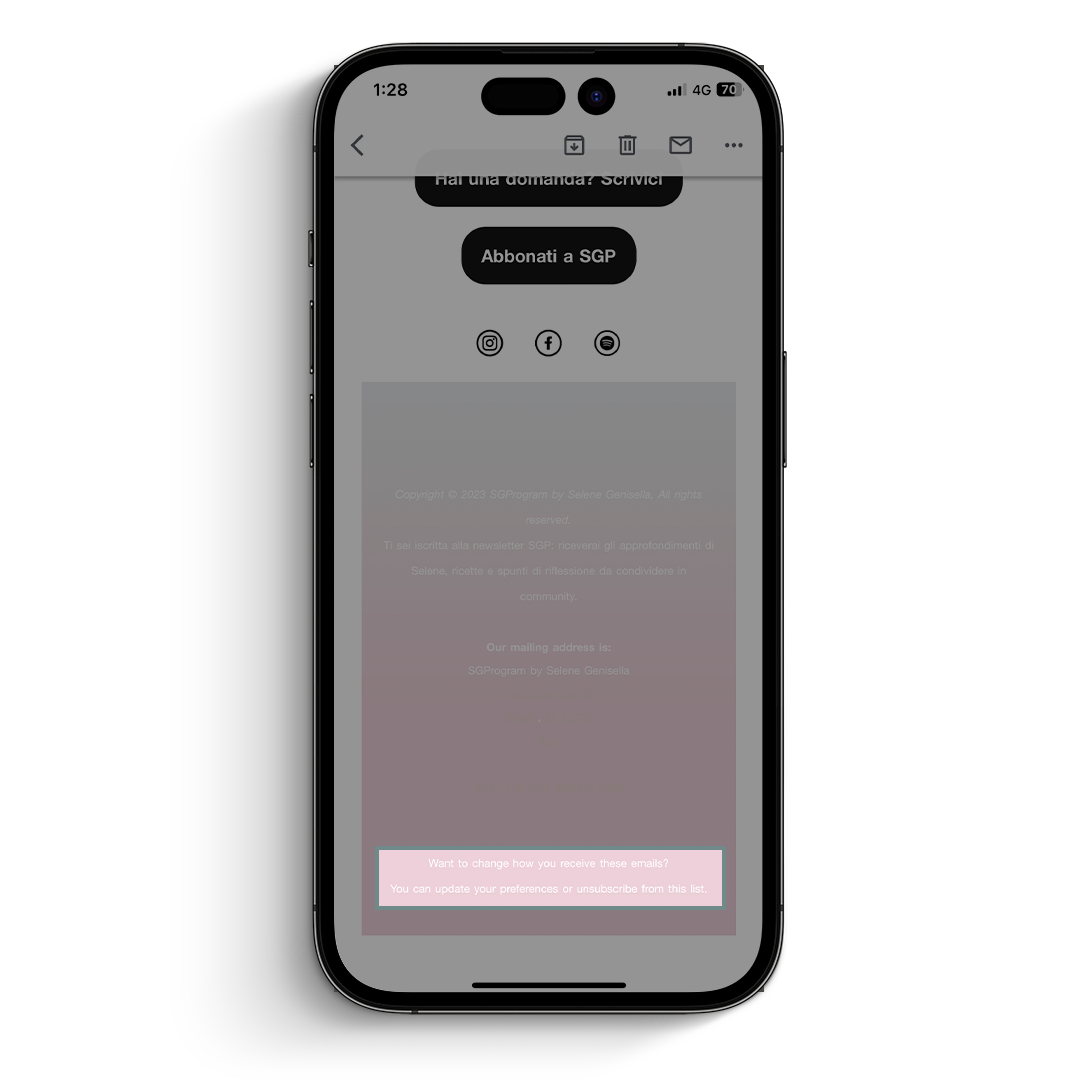 4_mockup_newsletter.png