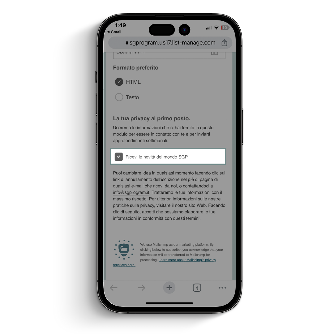 7_mockup_newsletter.png