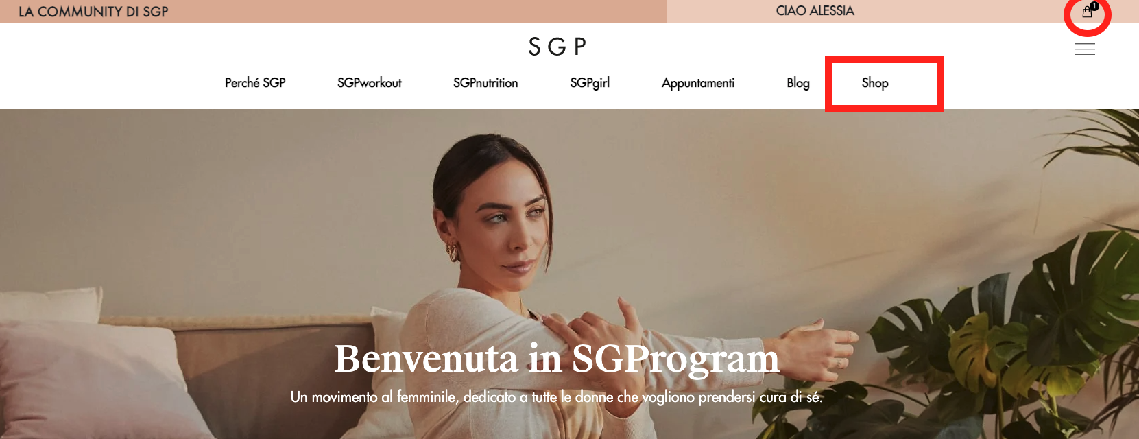 Schermata_2022-02-10_alle_16.37.25.png